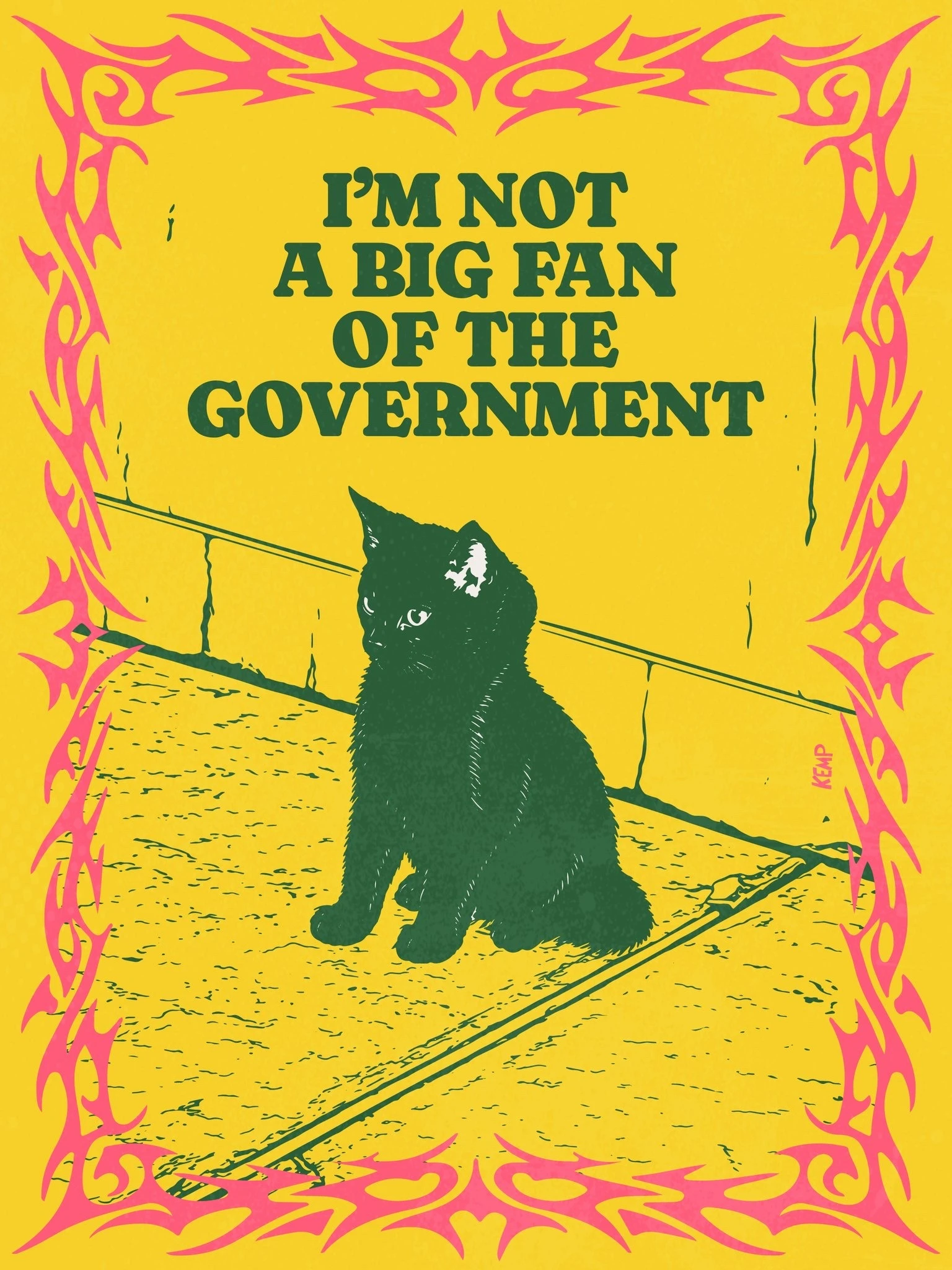 A colourful print of a black cat sitting next to a wall and text above that reads "I'm not a big fan of the government." A tribal tattoo style border frames the image.